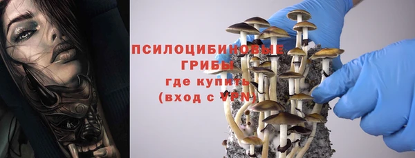 тгк Верея