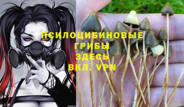 тгк Верея