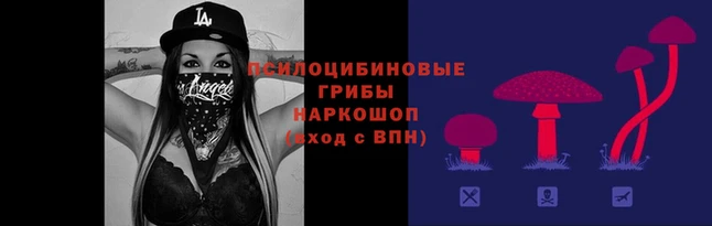 мдпв Верхний Тагил