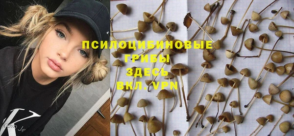 тгк Верея