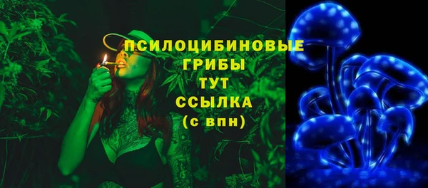 тгк Верея