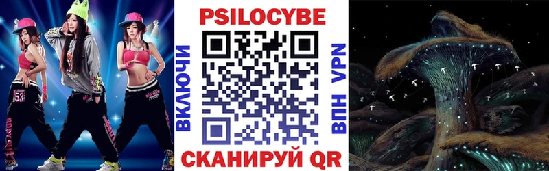 mega онион  Ермолино  Псилоцибиновые грибы Cubensis 
